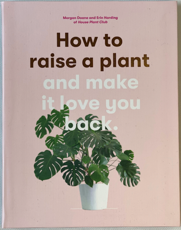How To Raise a Plant