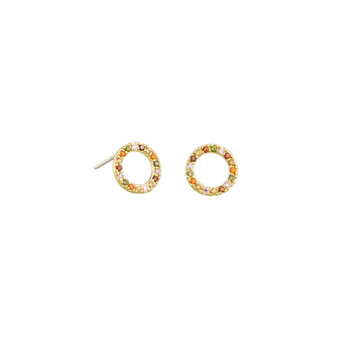 Rainbow Circle Earrings